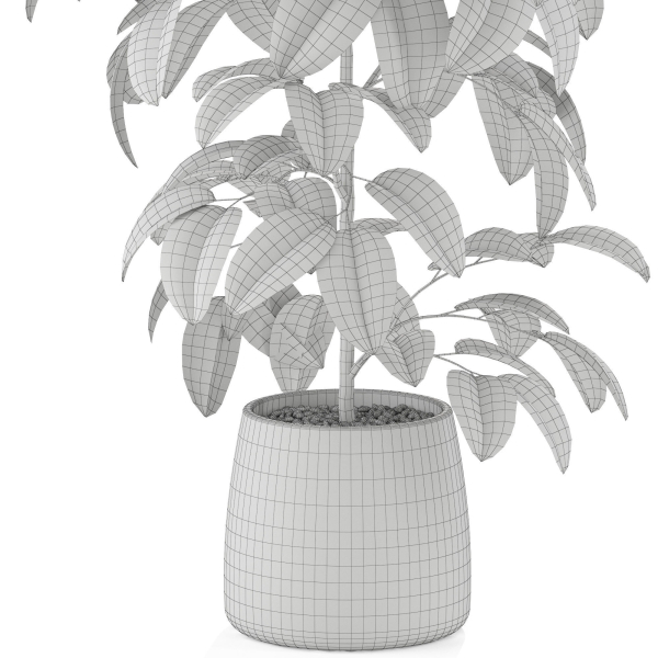 Plants collection 1032