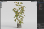 Plants collection 1032