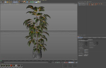 Plants collection 1032
