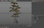 Plants collection 1033