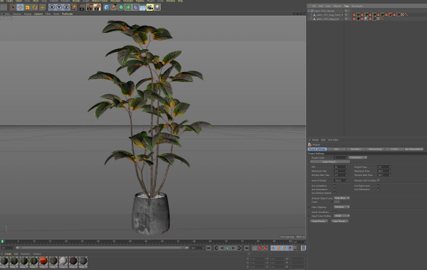 Plants collection 1033