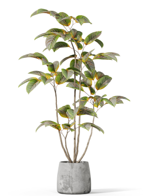 plants-collection-1033-3d-model-aa7b5a937e