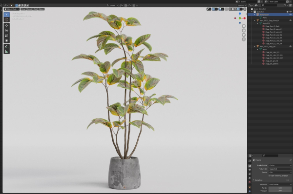 Plants collection 1033