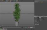 Plants collection 1034