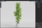Plants collection 1034