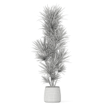 Plants collection 1034