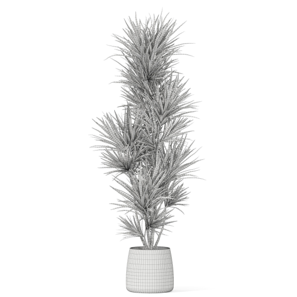 Plants collection 1034