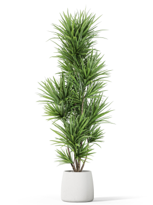 plants-collection-1034-3d-model-74d2bbe861