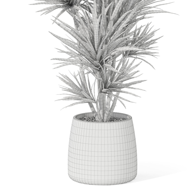 Plants collection 1034