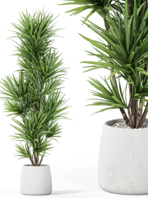 Plants collection 1034