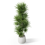 Plants collection 1034