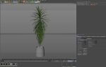 Plants collection 1035