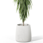 Plants collection 1035