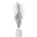 Plants collection 1035