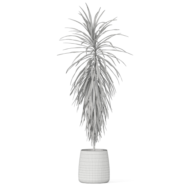 Plants collection 1035