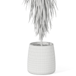 Plants collection 1035