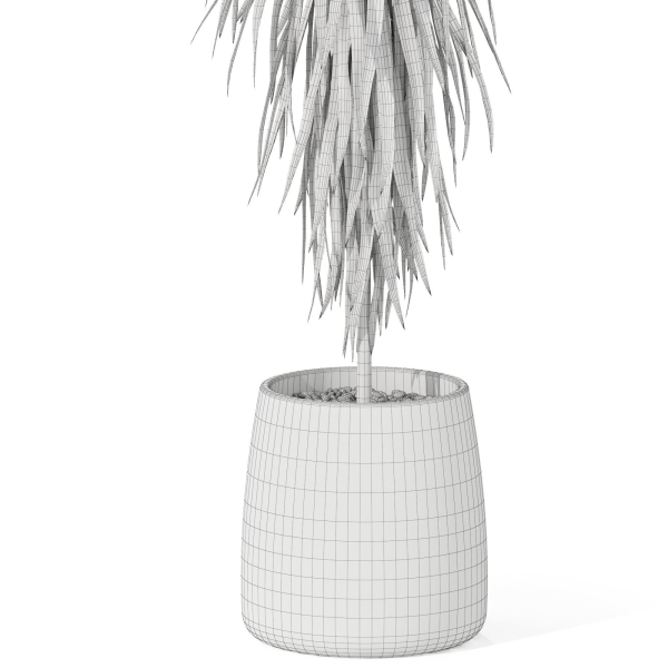 Plants collection 1035