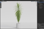 Plants collection 1035