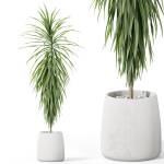 Plants collection 1035