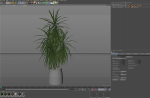Plants collection 1036