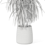 Plants collection 1036