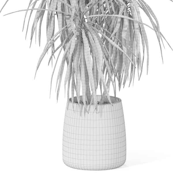 Plants collection 1036