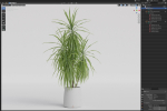 Plants collection 1036