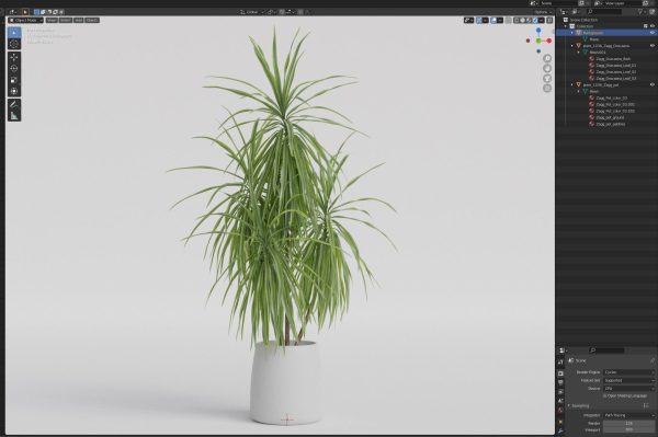 Plants collection 1036