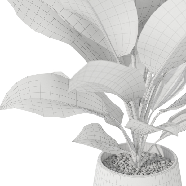 Plants collection 1037