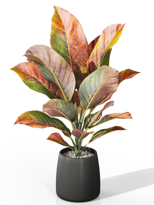 plants-collection-1037-3d-model-5d1be6f7a3