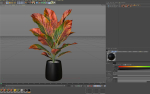 Plants collection 1037
