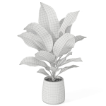 Plants collection 1037
