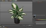 Plants collection 1038