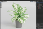 Plants collection 1038