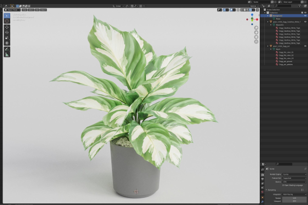 Plants collection 1038
