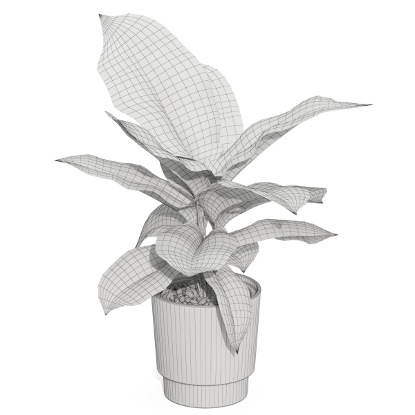 Plants collection 1039