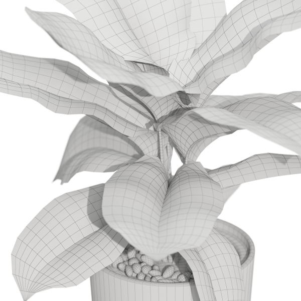 Plants collection 1039