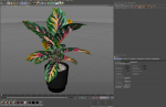 Plants collection 1039
