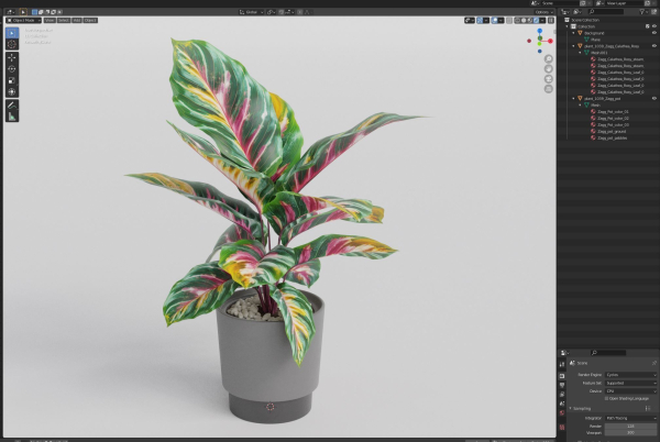 Plants collection 1039