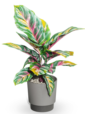 plants-collection-1039-3d-model-f9f53cda7a