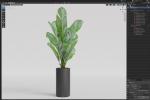 Plants collection 1040
