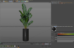 Plants collection 1040