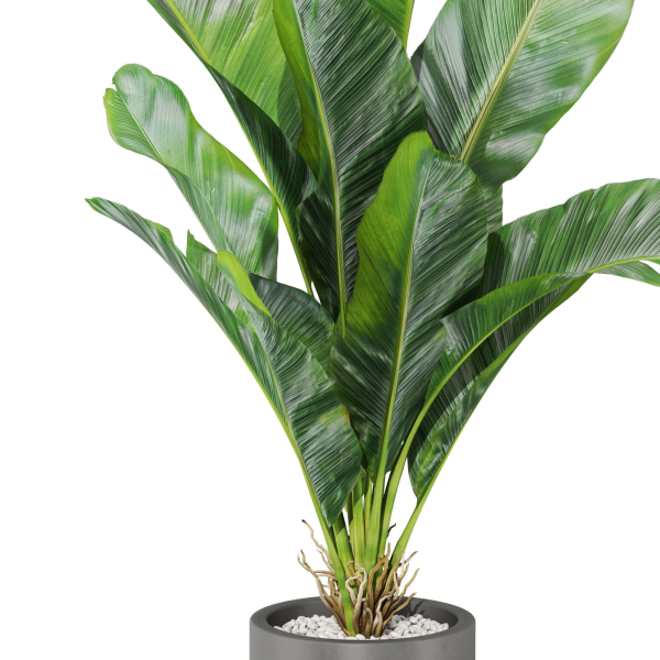 Plants collection 1040