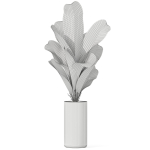 Plants collection 1040