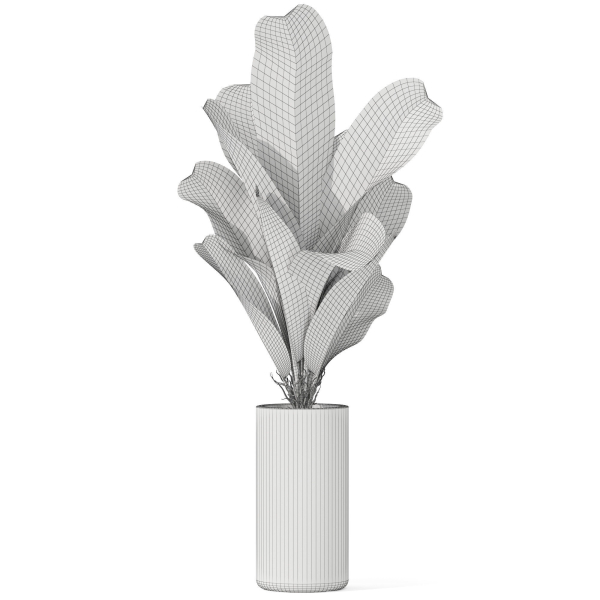 Plants collection 1040
