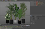 Plants collection 1041