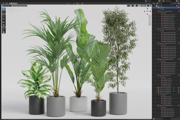 Plants collection 1041