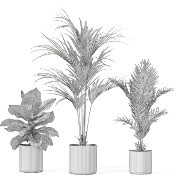 Plants collection 1041