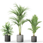 Plants collection 1041