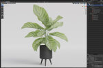 Plants collection 1042